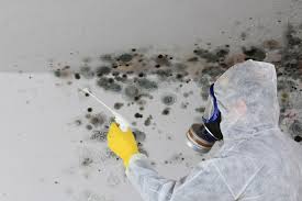 Best Crawl Space Mold Remediation  in Maud, TX